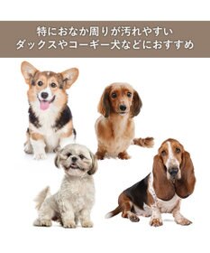 PET PARADISE スヌーピー レイン エプロン 中型犬 大型犬