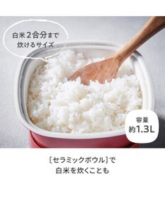 YAMATO テーブル＆キッチン 【レコルト】ポットデュオキャレ  レッド  RPD-4(R)