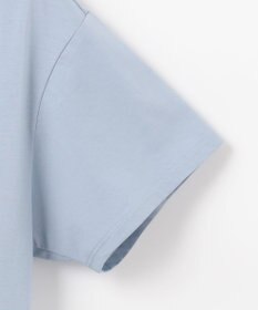 J.PRESS LADIES 【洗える・接触冷感】プレーティングジャージー バンドカラー カットソー