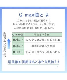 PET PARADISE ディズニー スティッチ もちっと クール ブランケット