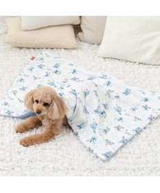 PET PARADISE ディズニー スティッチ もちっと クール ブランケット