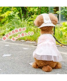PET PARADISE ペットパラダイス レース クール ハット ４Ｓ～３Ｓ/ＳＳ～Ｓ 小型犬