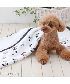 PET PARADISE ディズニー 101匹わんちゃん クールケット 小型犬