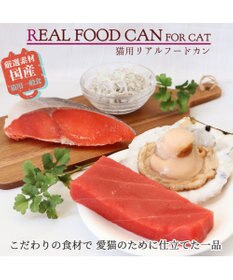 PET PARADISE キャットフード ウェット 缶 まぐろほぐし 75ｇ  《しらす/ 紅鮭/ ほたて》単品