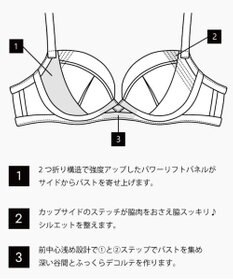 San-ai Resort（三愛水着楽園） 【エレガントコレクション2311】単品ブラEFGカップ  【northerly】