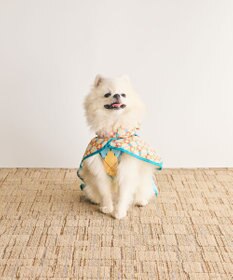 COQ PLAID ARGYLE ドッグポンチョ レインコート