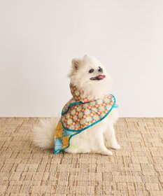 COQ PLAID ARGYLE ドッグポンチョ レインコート