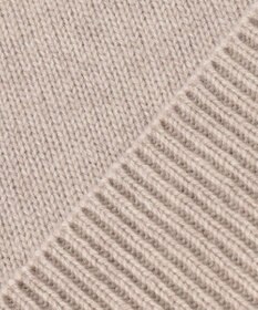 J.PRESS LADIES L 【洗える】CASHBIT ハイネック ニット