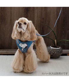 PET PARADISE スヌーピー リード 《デニム風》 Ｍ～Ｌ 大型犬