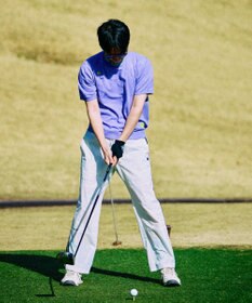 PW CIRCULUS 【手洗い可能】【MEN】アニマルドットニットモック ゴルフ