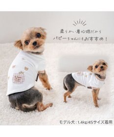 PET PARADISE ペットパラダイスくまちゃん サーモキープ Ｔシャツ 超小型犬 小型犬