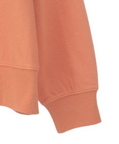 Green Parks 刺しゅうロゴ裏毛プルオーバー