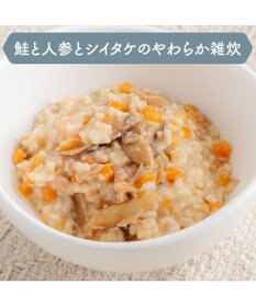 PET PARADISE 愛犬にやさしい スープごはん 鮭