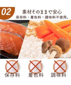 PET PARADISE 愛犬にやさしい スープごはん 鮭