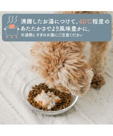 PET PARADISE 愛犬にやさしい スープごはん 鮭