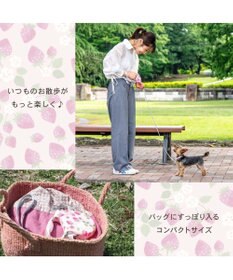 PET PARADISE ペットパラダイス 伸縮リード 《いちご柄 / ロゴ柄 》【小型犬】軽量 ロック式
