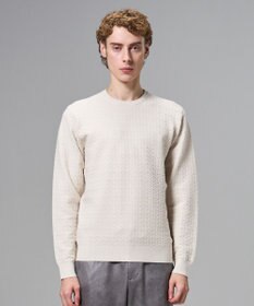 JOSEPH HOMME 新柄【イージーケア】 ヴィスコースリンクス　クルーネックニット