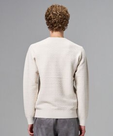 JOSEPH HOMME 新柄【イージーケア】 ヴィスコースリンクス　クルーネックニット