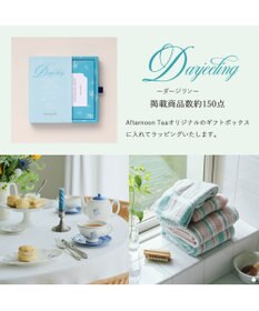 antina gift studio Afternoon Tea CATALOG GIFT Darjeeling（ダージリン）