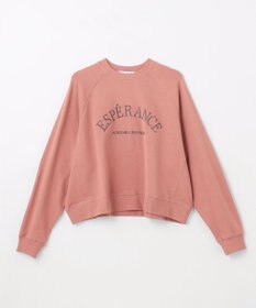 ANY 【洗濯機可】裏毛ロゴスウェット