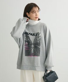 Green Parks ・ＤＯＵＢＬＥ　ＦＬＡＧＳ　フォトｐｔスウェット