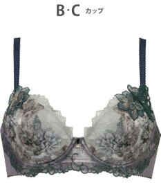 Wing ブラジャー Wing Lesiage サイドすっきり しっかりフィット 【2900シリーズ】 ブラ PB2900 ウイング／ワコール