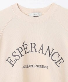 ANY 【洗濯機可】裏毛ロゴスウェット