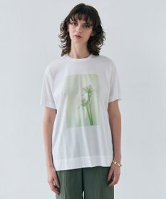 BEIGE， 【洗える・クロワッサン 掲載】PENTAS / オリジナルフォトプリントＴシャツ