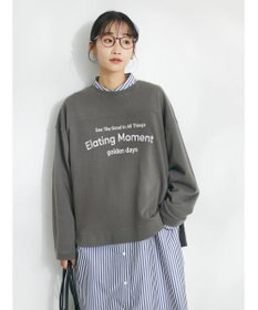 CRAFT STANDARD BOUTIQUE ミニ裏毛パウダー加工ＰＴ　Ｐ／Ｏ　Ｌ／Ｓ