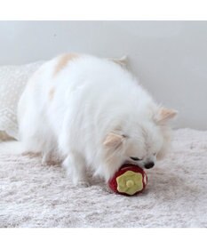 PET PARADISE ペットパラダイス ふわころトイ 《いちご  レッド》 小型犬