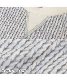 PET PARADISE ペットパラダイス ペティヒート 天竺 Tシャツ 《ニット柄》  超小型犬 小型犬