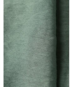 Green Parks レギュラー前後差シアーシャツ