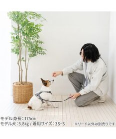PET PARADISE ペットパラダイス ショルダーリード 3Ｓ～Ｓ 小型犬