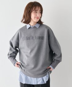 ANY L 【洗濯機可】エンブロイダリーロゴダンボールプルオーバー