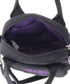 ANNA SUI ヴォヤージュ 2wayミニショルダー