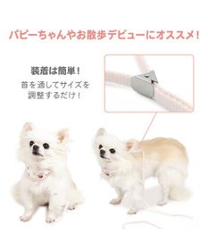 PET PARADISE ペットパラダイス リード付き首輪 《いちご》 小型犬