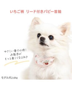 PET PARADISE ペットパラダイス リード付き首輪 《いちご》 小型犬