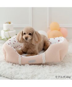 PET PARADISE ペットパラダイス いちご フリルカドラー  Ｍ 57×45cm