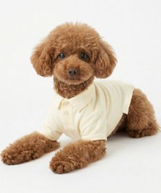 OP／FILA 【Ocean Pacific】ポロシャツ風ドッグウェア ペットウェア