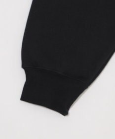 WEGO 【ユニセックス着用ITEM】別注BENDAVISグラフィックプルパーカー