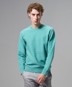 JOSEPH HOMME 新柄【イージーケア】 ヴィスコースリンクス　クルーネックニット