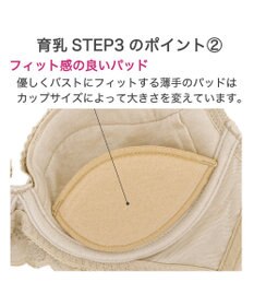 BRADELIS New York 【BRADELIS New York ブラデリス】ジャクリーンステップ3ブラ24A1 育乳補整 補正 ブラジャー 下着 幅狭ワイヤーでバストを整える