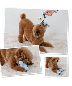 PET PARADISE ディズニー ミッキーマウス 風船ロープ トイ 《ブルー》 小型犬