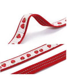 PET PARADISE ペットパラダイス 苺チャーム付き リード ３Ｓ