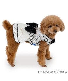 PET PARADISE ディズニー ミニーマウス クール ワンピース 《ドット柄》 小型犬