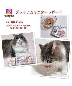 PET PARADISE 【24個セット】 猫缶 まとめ買い キャットフード まぐろほぐし 75g×24  《しらす/ 紅鮭 /ほたて》