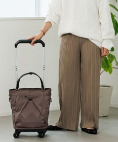 ACE BAGS & LUGGAGE soelte ミニュア キャリーバッグ 19L お買い物カート 機内持ち込み 20461 ソエルテ