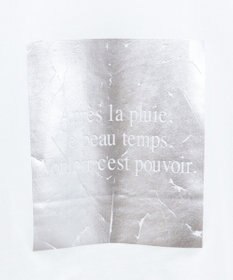 AMERICAN HOLIC ボックスロゴ箔プリントＴシャツ