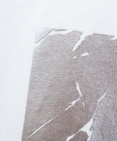 AMERICAN HOLIC ボックスロゴ箔プリントＴシャツ