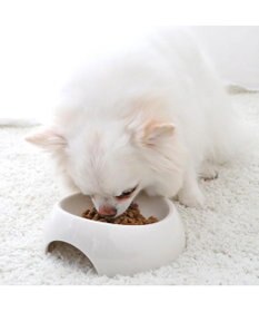 PET PARADISE ≪配合リニューアル≫ ペットパラダイス  国産 ドッグフード フローラ3kg